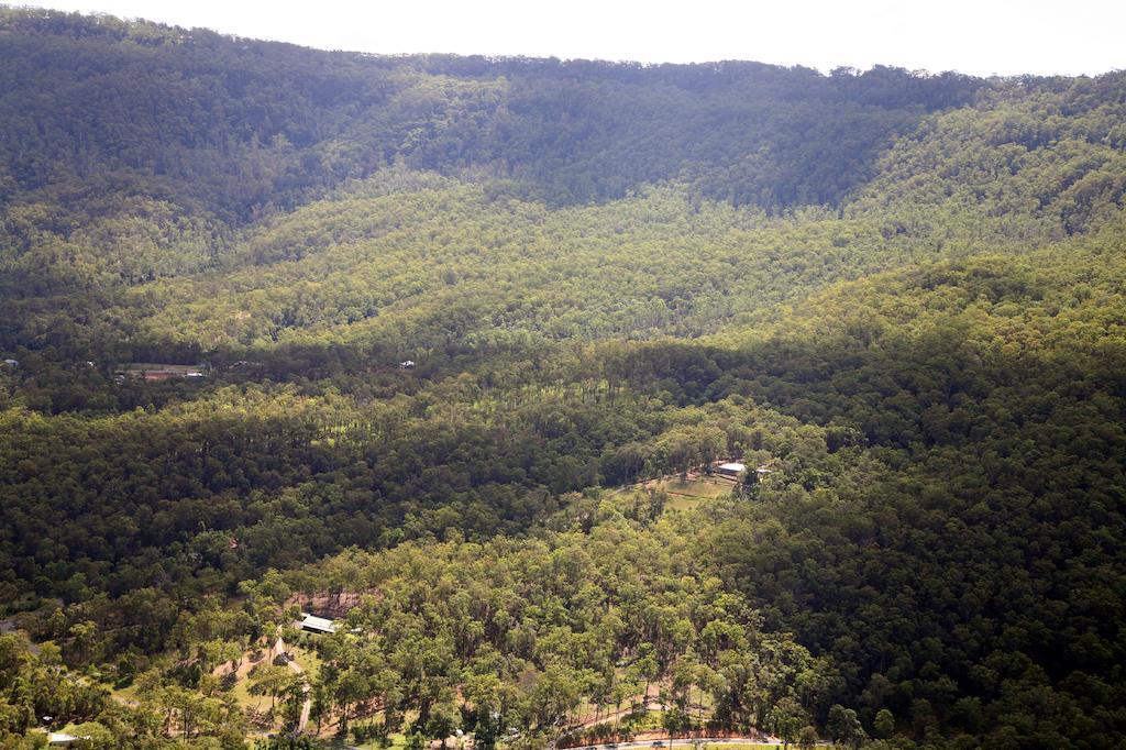 Wallaby Ridge Retreat Mount Tamborine Exterior foto