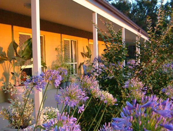 Wallaby Ridge Retreat Mount Tamborine Exterior foto