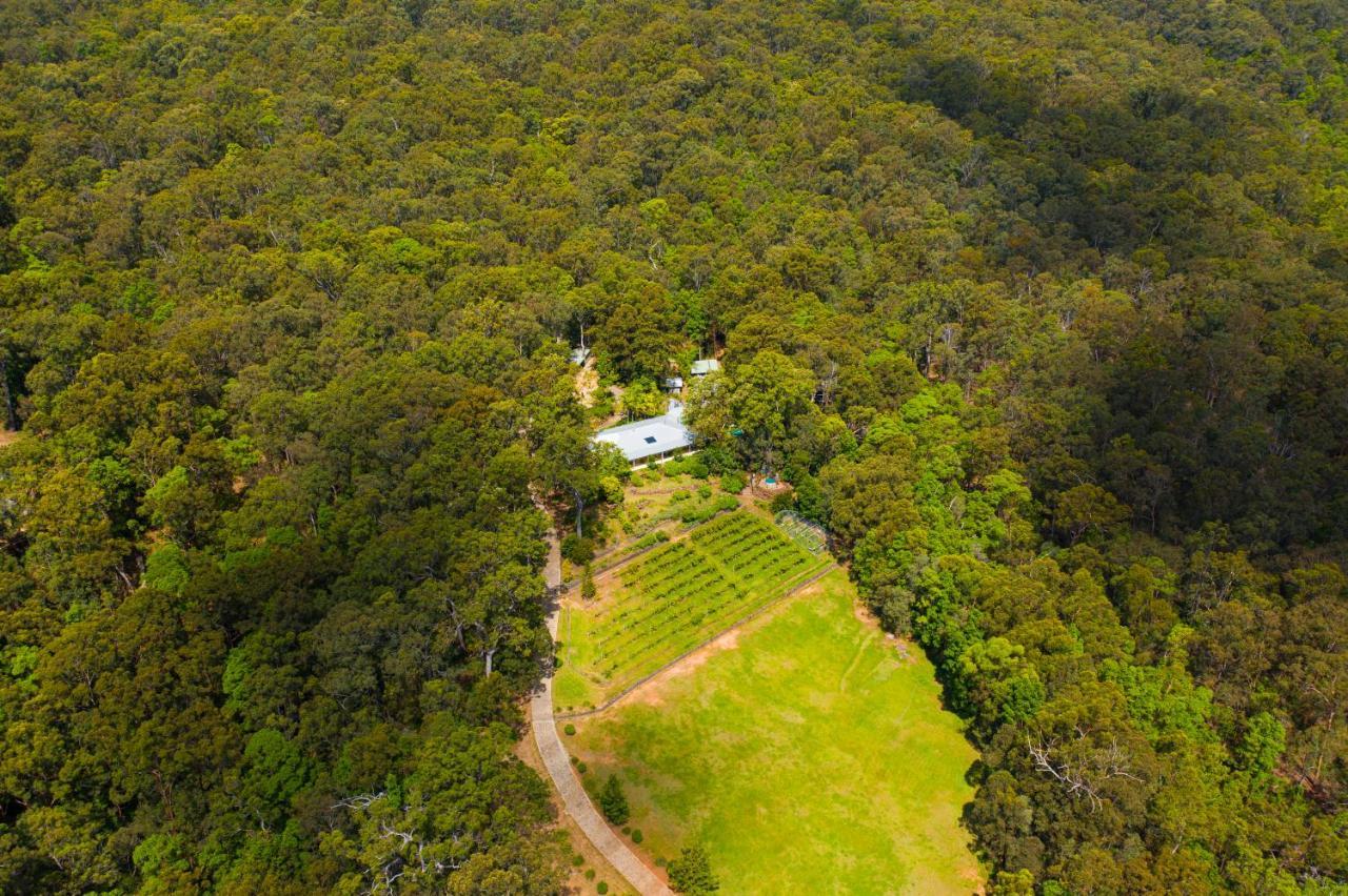 Wallaby Ridge Retreat Mount Tamborine Exterior foto