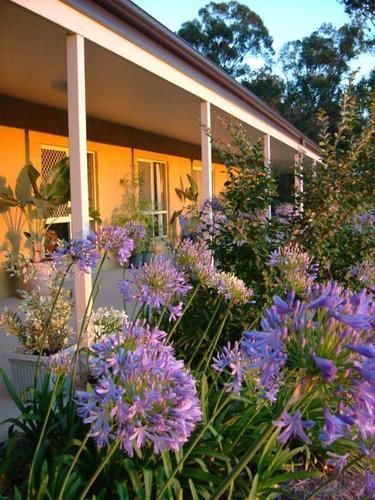 Wallaby Ridge Retreat Mount Tamborine Exterior foto